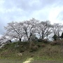 城址風景