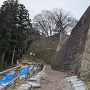 出櫓と本丸の石垣