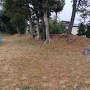 土塁