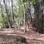 石洞山（石塔山）への道