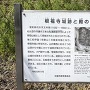 案内板