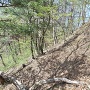 二本の畝状竪堀