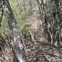 天神山城との間の堀切