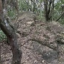 大手門跡だと思う