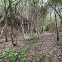 切岸と削平部