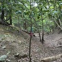 北尾根郭（Ⅲ郭）西側の虎口