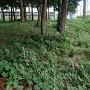 東側の城塁