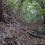 堀切(東側の郭の西側)