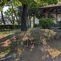本城公園