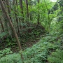 堀切(本丸帯曲輪西側)