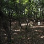 主郭を北側から望む