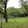 大首郭