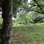 中の丸北東の土塁
