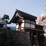 桜と太鼓門櫓