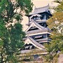 １９８５年の天守と谷干城像