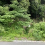 山城への登城口