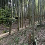 三郭東側の虎口