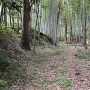 三郭の腰曲輪