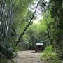 妙見神社