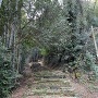 登城路(参道)