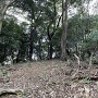 山頂部の平場
