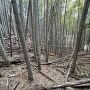 登城路