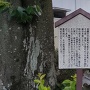 重原城跡と権現石の伝説