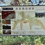 案内板