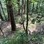 南曲輪群先端の曲輪