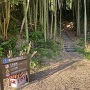 岩内山展望台への登山口