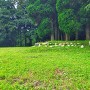 本丸の石垣