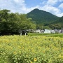 三上陣屋跡遠景