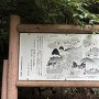 天保の熱、案内板