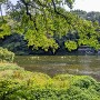 柿田川（船着曲輪付近）