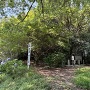 髪伸びの井戸