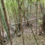 主郭から副郭群への土橋
