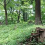 主郭土塁