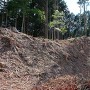 漆原城 馬出北の空堀より見上げた城址