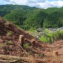 漆原城 主郭と馬出の間の堀切からの竪堀