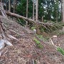 漆原城 主郭北西二重堀切②