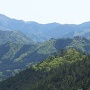 藤和峠から見た城跡全景