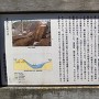 説明板（土塁と空堀）