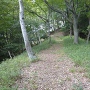 二の丸から本丸方面