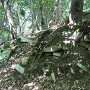 高松城 本丸、鐘の段間の堀切の石積