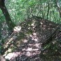 高松城 鐘の段の北 武者隠し