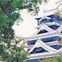 １９９５年の天守と谷干城像