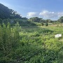 城址風景