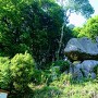 丸山神社の鮒岩3