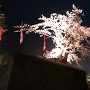 二ノ丸東虎口から見る夜桜と月