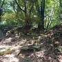 主郭南の虎口の石垣